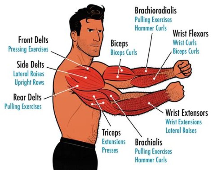 How do you increase muscle definition