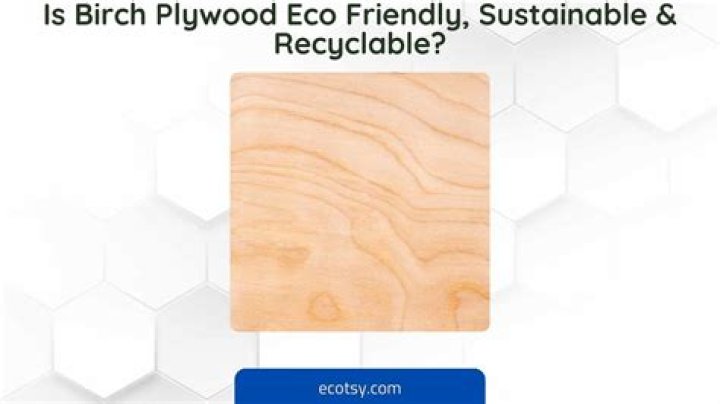 Is birch plywood eco friendly