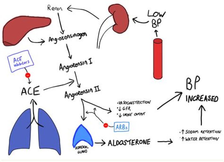 Is Monopril an ACE inhibitor