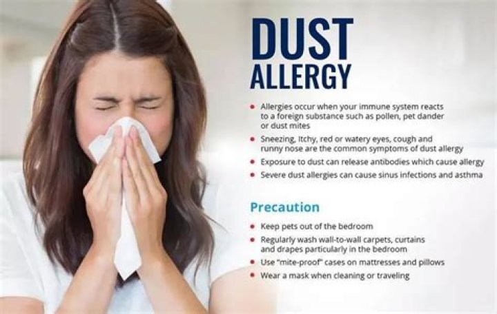 What causes high dust and dander allergies