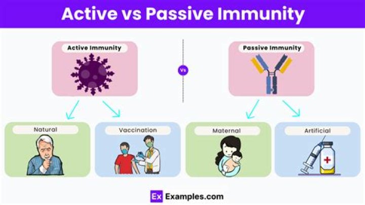Which of the following is an example of passive immunity
